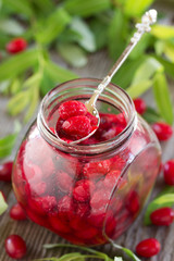 Cornelian cherry jam.