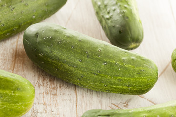 Organic Green Pickle Cucumbers