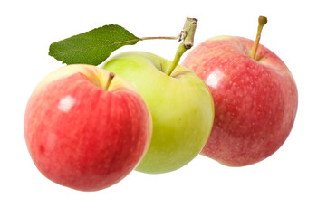 apples on a white background