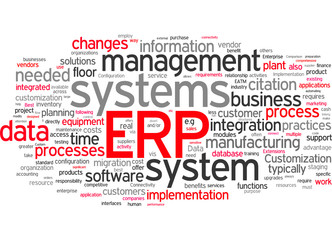 ERP (Enterprise Resource Planning)