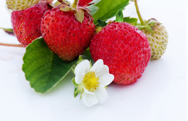 Strawberries berry on white background with flowers