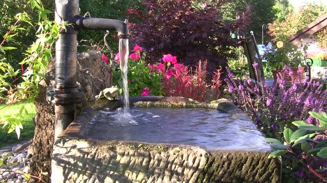 Schwengelpumpe und Wassertrog