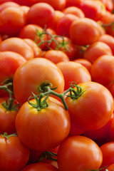 Pile of vined tomatoes