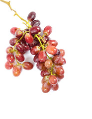 ripe red grapes