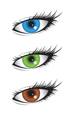  Color Vector Eyes Illustrations