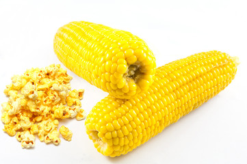corn fresh and pop corn