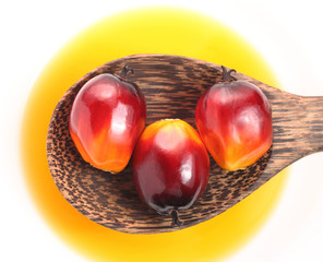 Oil palm fruit and cooking oil