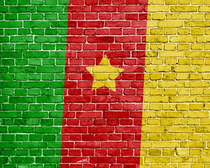 Grunge Cameroon flag on brick wall background