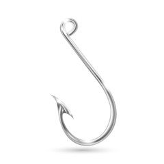 Glossy fishing hook.