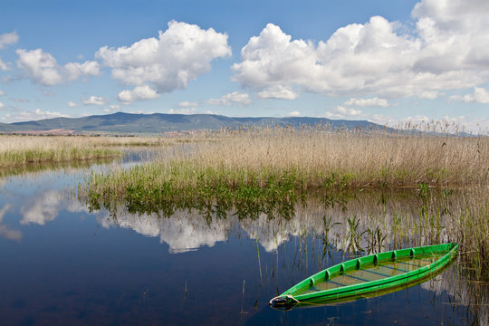 Las Tablas De Daimiel