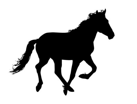Horse Clip Art Images – Browse 32,645 Stock Photos, Vectors, and Video |  Adobe Stock