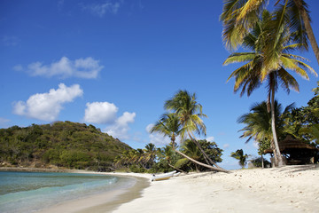tropical beach in Carribean