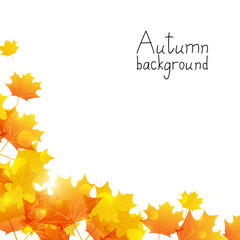 Obraz premium Autumn background with place for text