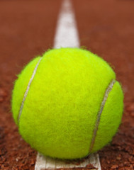 Tennis ball