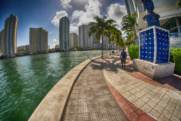 Beautiful cityscape of Miami near the ocean
