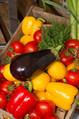 paprika tomatoes aubergines