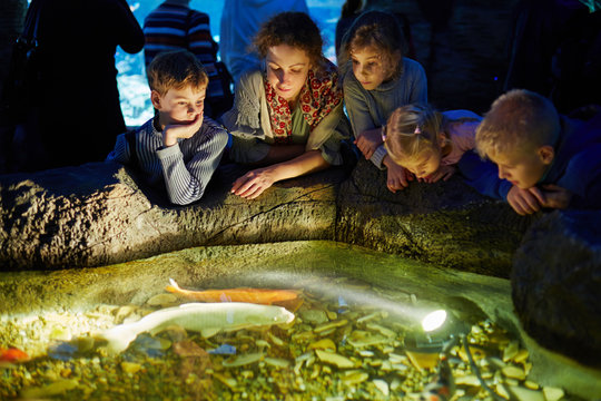 Young woman and children look at fishes in enlighted pool