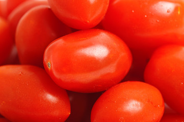 Cherry plum tomato