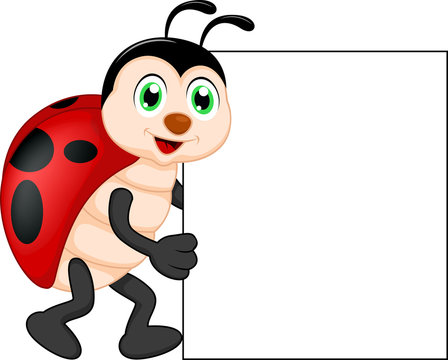 funny lady bug cartoon with blank sign