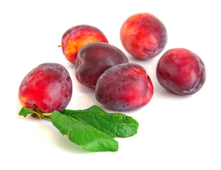 ripe plums