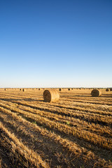 landscape with bales of straw