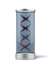 DNA in a transparent cylinder