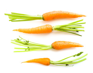 fresh carrots with leaves