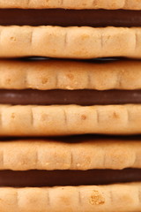 Background of sandwich biscuits with chocolate.