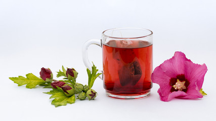 Hibiskustee © lichtmensch