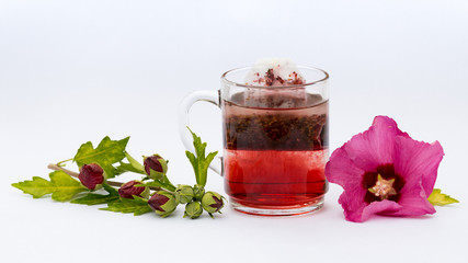 Hibiskustee © lichtmensch