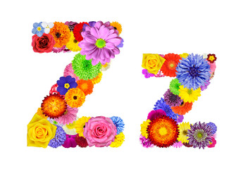 Flower Alphabet Isolated on White - Letter Z