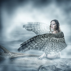 Sexy beautiful woman with birds wings
