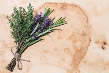 Lavendel Rosmarin Thymian auf Pergament