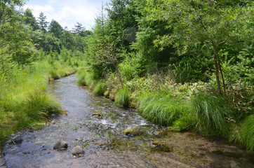 奥日光の清流