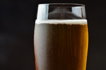 Glass of beer isolated on dark background