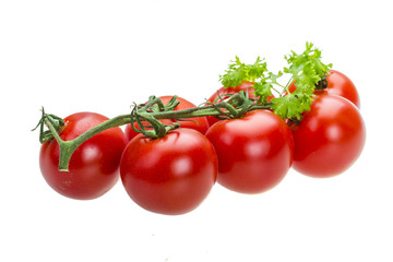 Tomato branch with parsley