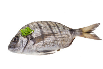 Fototapeta premium Raw Tilapia