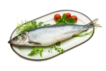 Marinated herring with herbs