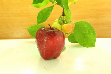 apple and cherry apple