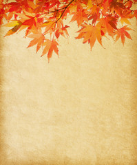Naklejka premium old paper with autumn leaves