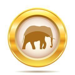 Golden shiny icon