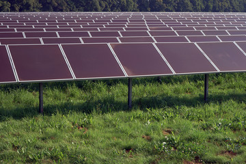 Solarfeld