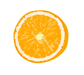 Orange fruit - vector illustration.