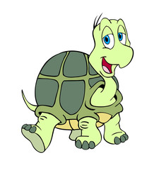 Cute Turtle