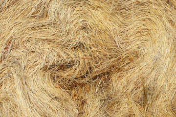 Hay Bale in Czech countryside