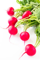Fresh spring radish
