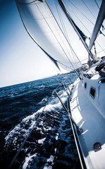Sailboat in action