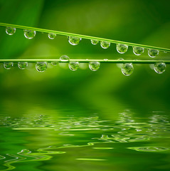 Water drops on green grass © SJ Travel Footage