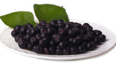 Ripe black currant