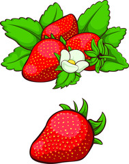 Fresh Strawberry